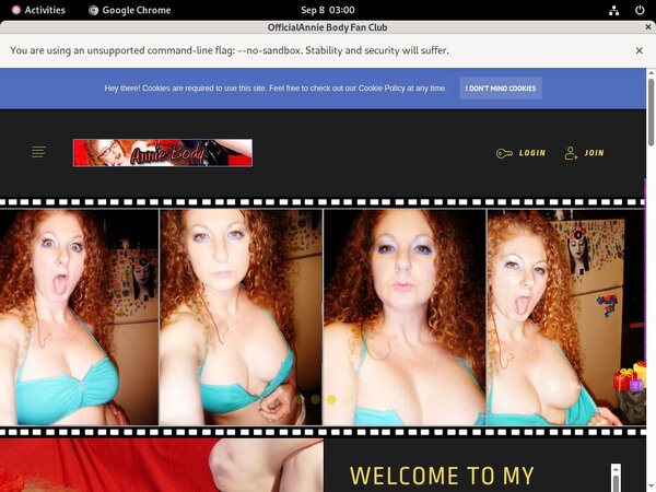 Accounts Of AnnieBody Accounts Of AnnieBody