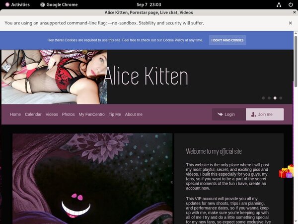 Alicekitten.modelcentro.com Cost Alicekitten.modelcentro.com Cost