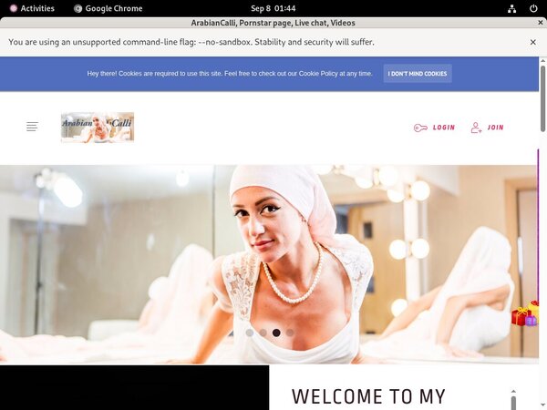 ArabianCalli Com Paypal