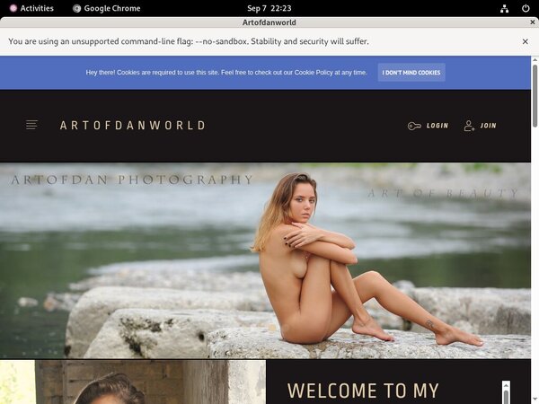 Artofdanworld Film