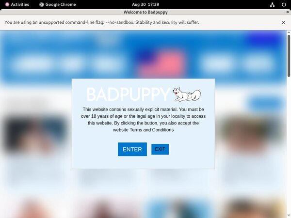 Badpuppy.com Billing Form