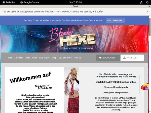 [Image: BlondeHexe-Checkout-Page.jpg]