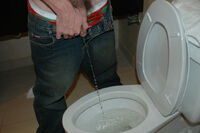 Boys Pissing Full Hd Video s2
