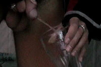 Boyspissing Net s2 Boyspissing Net s2