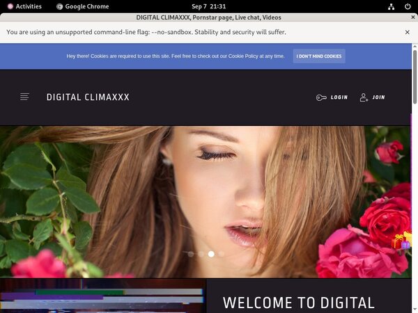 Digitalclimaxxx.com Take Paypal
