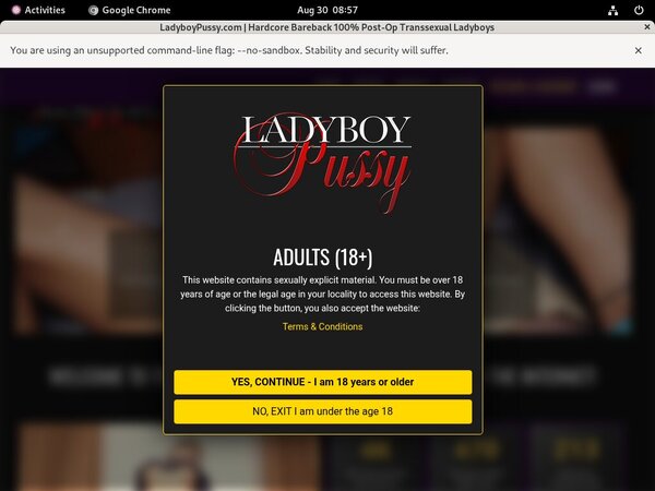 Discount Ladyboy Pussy Code