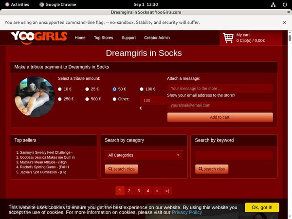DreamgirlsInSocks Vendo Page