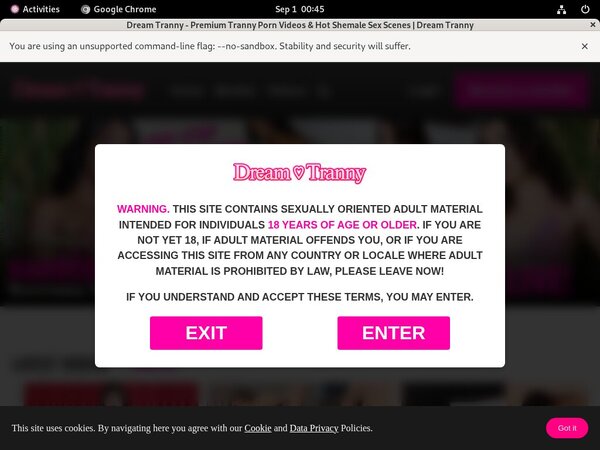 Dreamtranny Password And Account