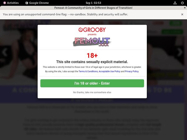 Femout XXX Cuentas Gratis Femout XXX Cuentas Gratis