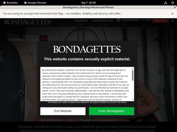 Free Bondagettes