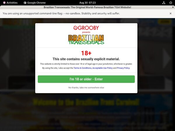 Free Full Braziliantranssexuals Porn