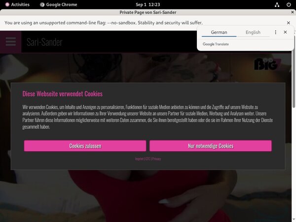 Free Sari-sander.com Account And Password