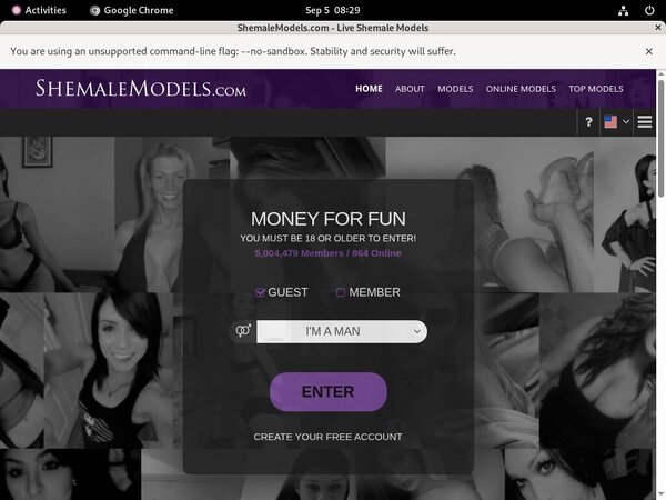 Free Shemalemodels.com Account Passwords
