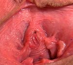 Gape My Pussy Tranny Gape My Pussy Tranny