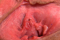 Gape My Pussy Tranny s0 Gape My Pussy Tranny s0