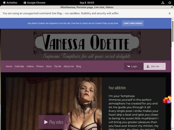 Get Missvanessa.modelcentro.com Free