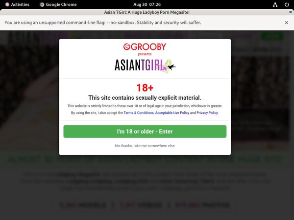 Ladyboy-ladyboy.com Account Paypal