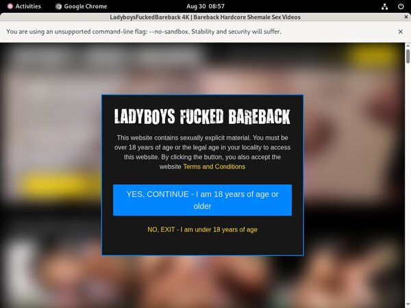 Ladyboysfuckedbareback.com Nude Pictures