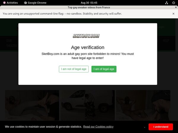 [Image: Logins-Sketboycom-Free.jpg]