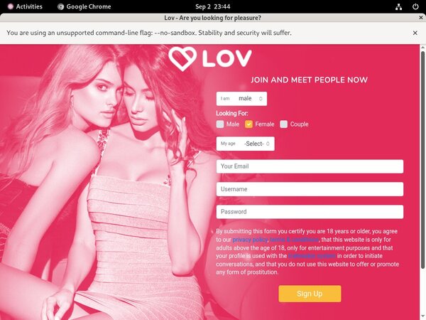 Lov.net Form