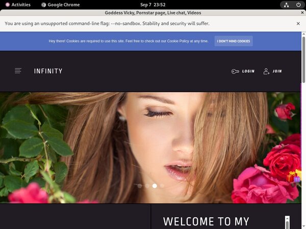 Membership To Vickythevixxxmodelcentro.com