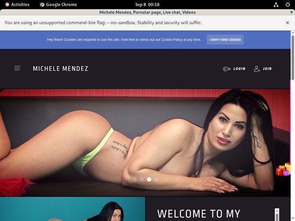 Michele Mendez Official