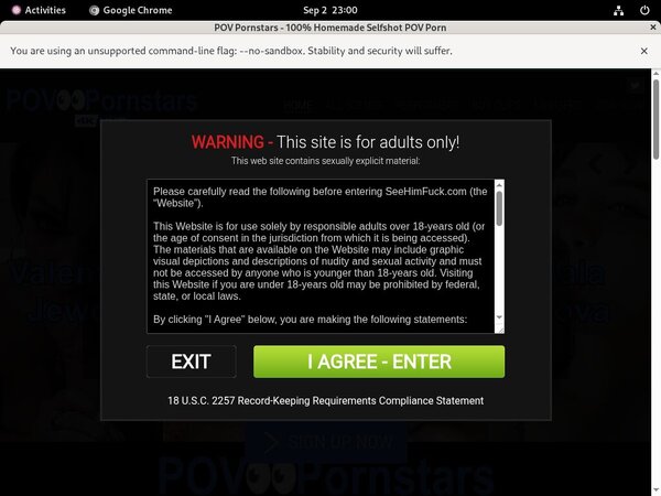 POV Pornstars Password Info