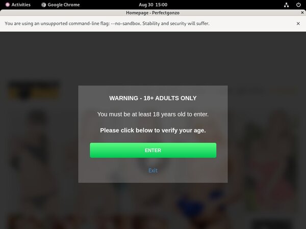Perfect Gonzo Premium Pass