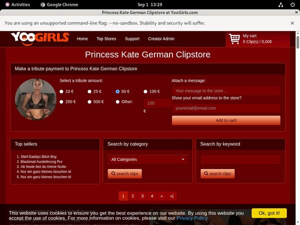 Princess Kate German Login Password