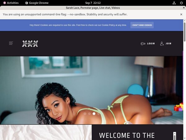 Sarah Lace Paypal Payment