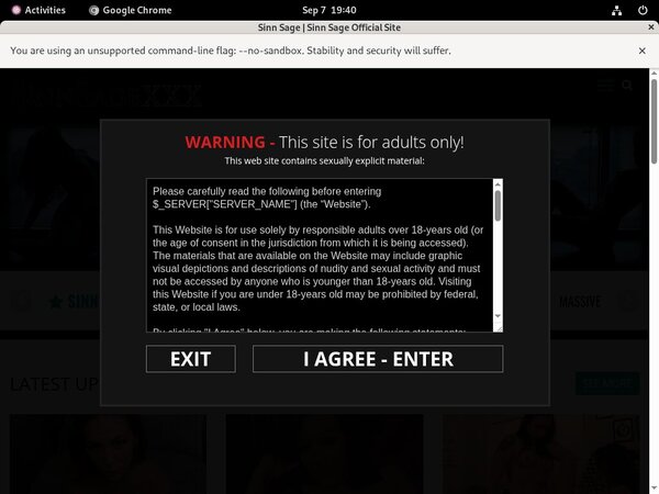 Sinn Sage Without Card