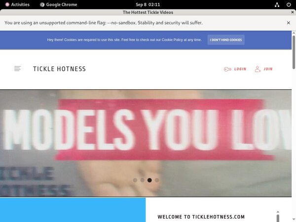 Special TickleVideos Discount