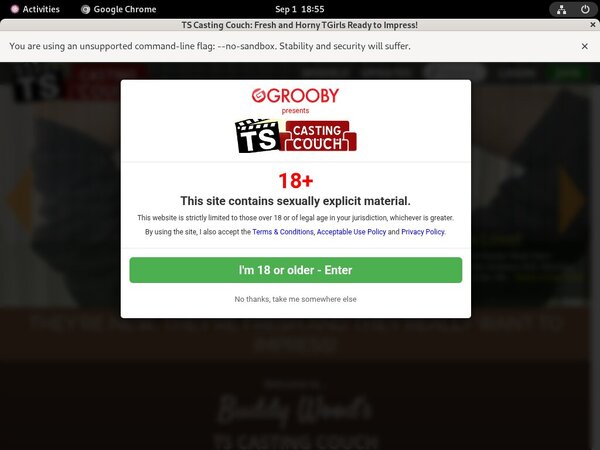 Ts-castingcouch.com Join With Phone