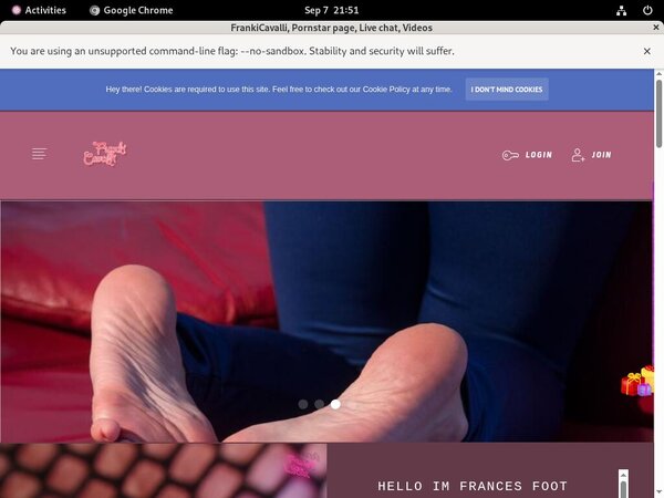 Does Frances.modelcentro.com Use Paypal?